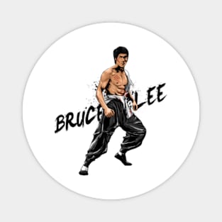 Movie Bruce Jeet Kune Do Bruce Dragon Legend Magnet